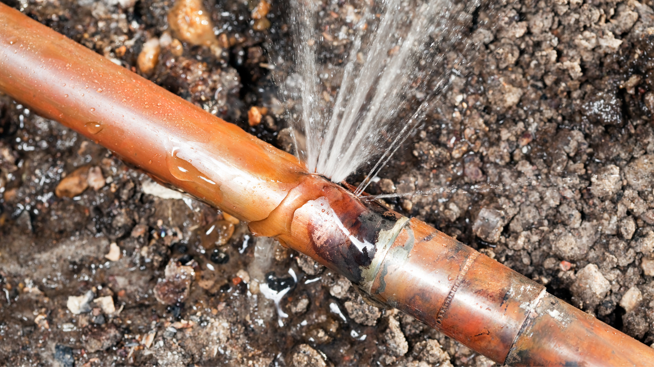 Signs of Concealed Pipe Leakage