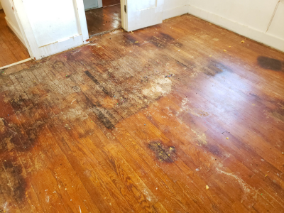 Warped wooden flooring caused by a hidden water leak beneath the surface.